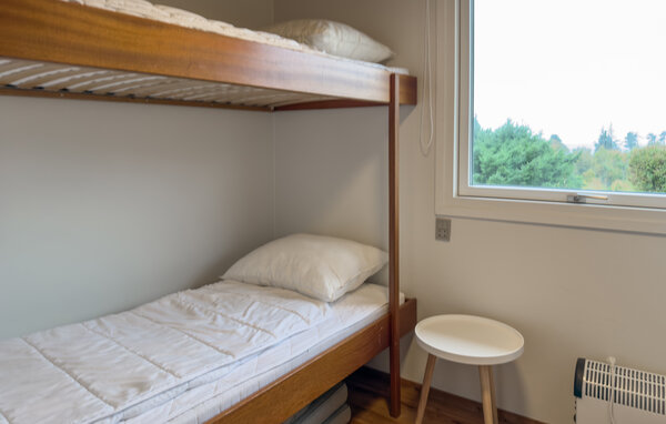 Ferienhaus - Sletterhage Strand , Dänemark - D29057 602