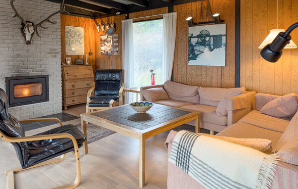Feriehuse - Sletterhage , Danmark - D29103 3