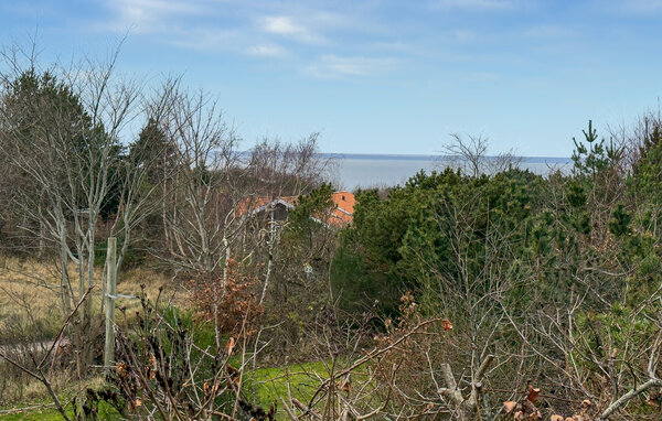 Feriehuse - Sletterhage , Danmark - D29103 201