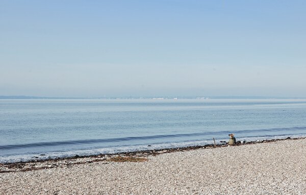 Location de vacances - Fejrup Strand , Danemark - D30108 903