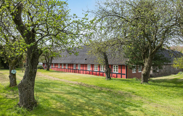 Ferienwohnung - Ebdrup , Dänemark - D44033 1