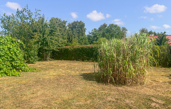 Vakantiehuis - Egense Strand , Denemarken - D61020 101