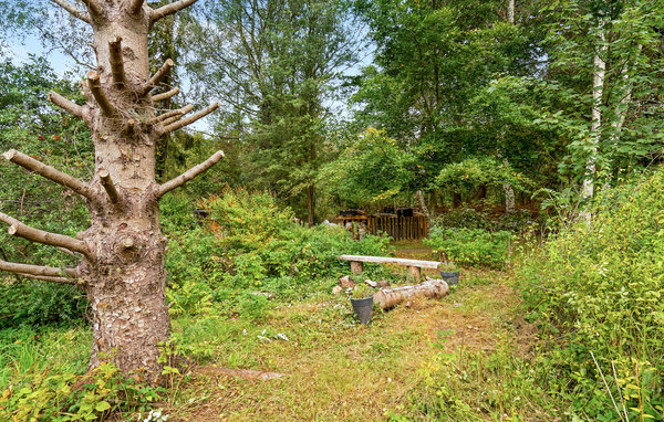 Semesterhus - Helberskov Strand , Danmark - D62039 105