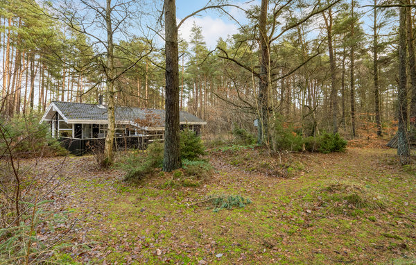 Ferienhaus - Als Odde Strand , Dänemark - D62055 9