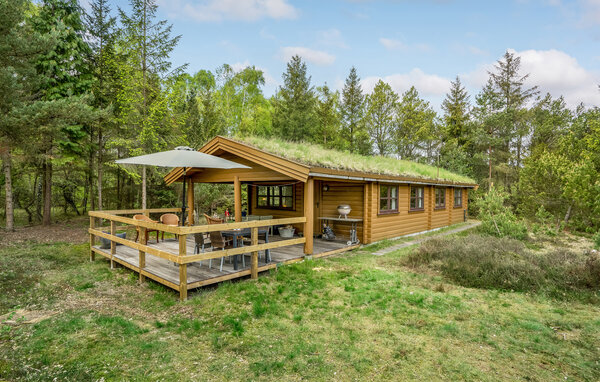 Ferienhaus - Als Odde Strand , Dänemark - D62108 1