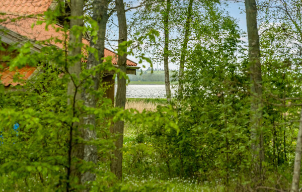 Ferienhaus - Als Odde Strand , Dänemark - D62108 2