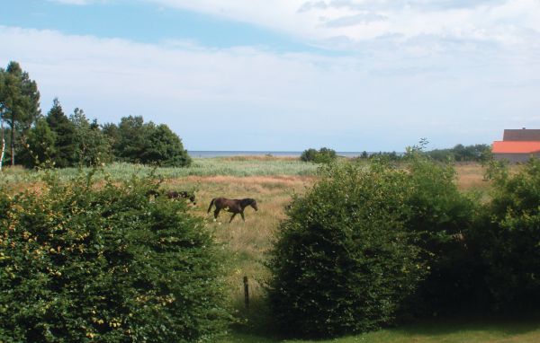 Feriebolig 