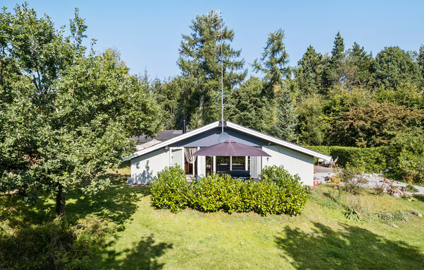 Ferienhaus - Dalsminde , Dänemark - D63222 81