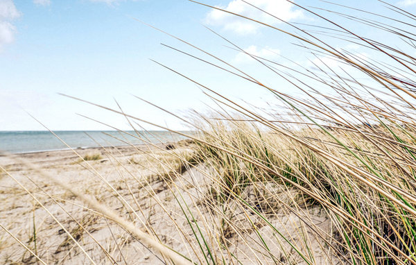 Holiday Home - Gjerrild , Denmark - D71026 903