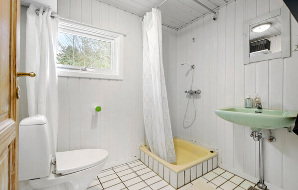 Ferienhaus - Selkær Mølle , Dänemark - D72021 701