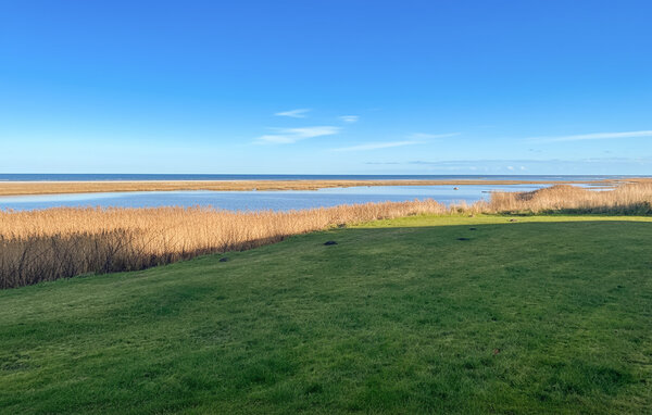 Semesterhus - Bønnerup Strand , Danmark - D73120 2