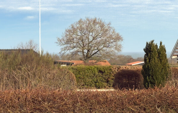 Ferienhaus - Bønnerup Strand , Dänemark - D73120 201