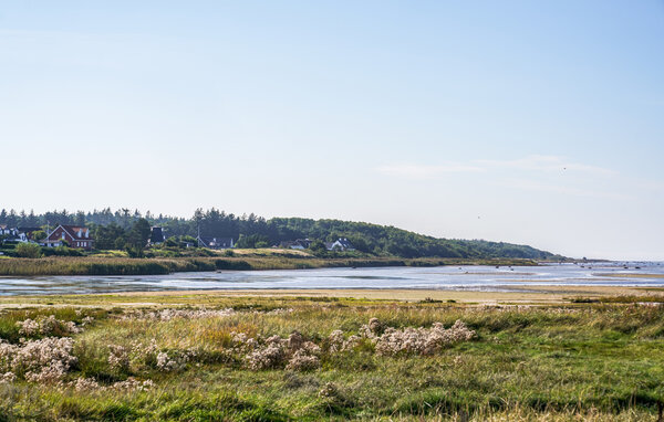 Ferienhaus - Bønnerup , Dänemark - D73983 904