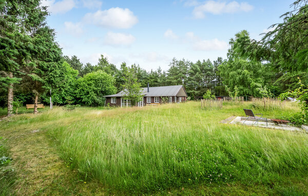 Kuća-za-odmor - Grenå , Danska - D74124 106