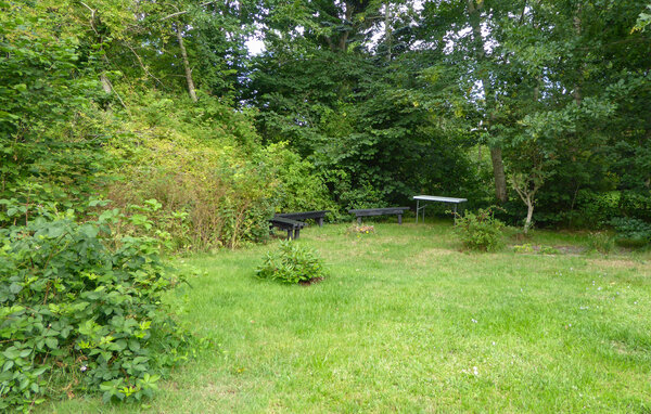 Domy wakacyjne - Fjellerup , Dania - D74315 104