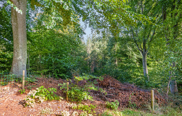 Semesterhus - Fjellerup , Danmark - D74438 107