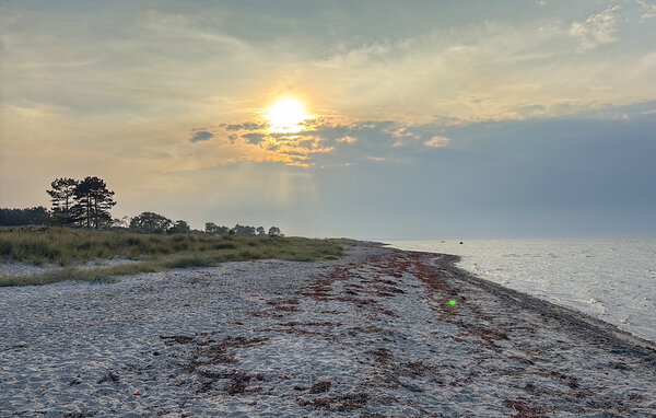 Holiday Home - Fjellerup , Denmark - D74556 903