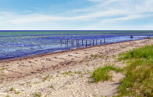Casa de vacaciones - Skovgårde Strand , Dinamarca - D76001 902