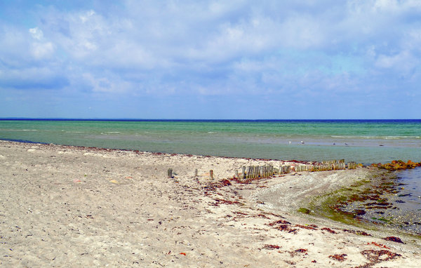 Feriehuse - Skovgårde Strand , Danmark - D76108 903