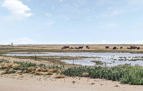 Feriehuse - Udby høj , Danmark - D78274 902