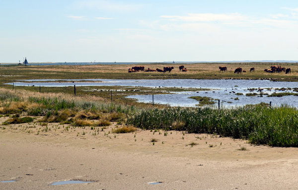 Semesterhus - Udbyhøj , Danmark - D78376 902
