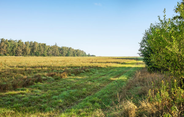 Feriehuse - Udbyhøj , Danmark - D79009 201