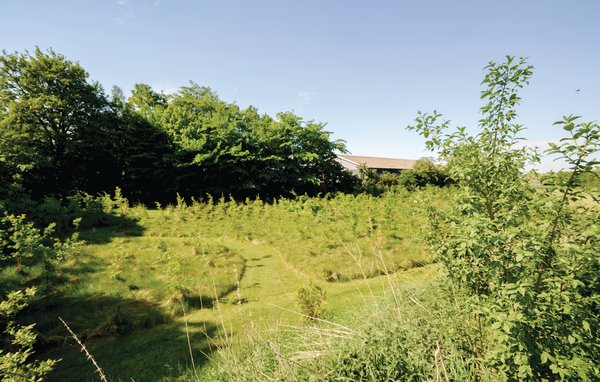Feriehuse - Fausing , Danmark - D79214 101