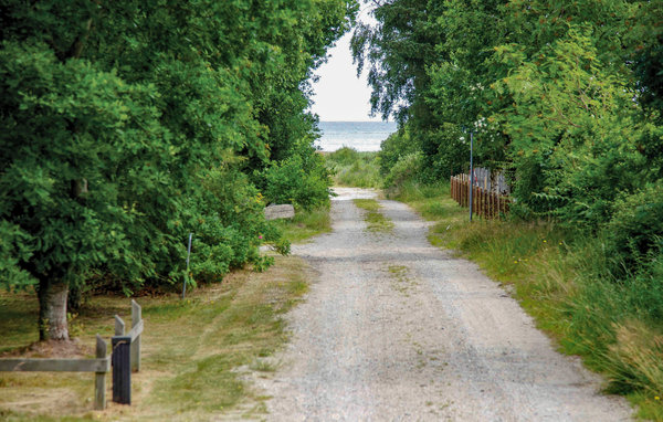 Vakantiehuis - St. Sjørup , Denemarken - D79309 105