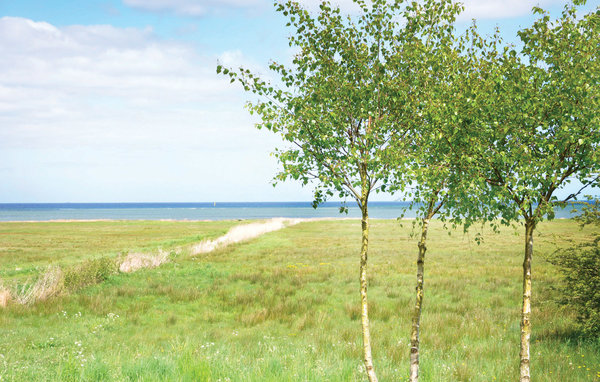 Location de vacances - St. Sjørup , Danemark - D79612 201
