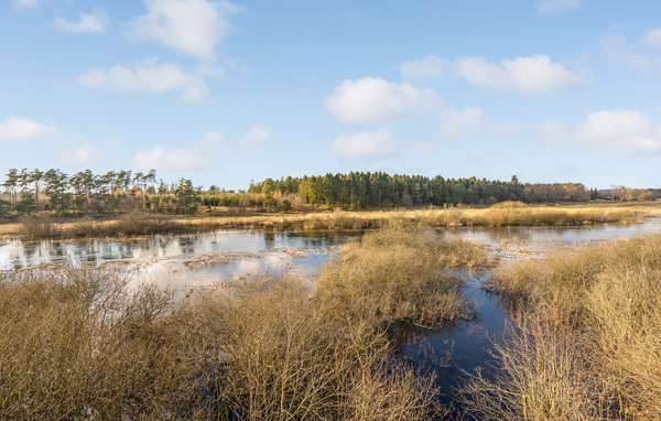 Feriebolig 