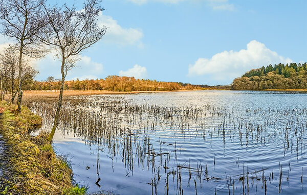 Feriehuse - Rørbæk Sø , Danmark - D82066 901