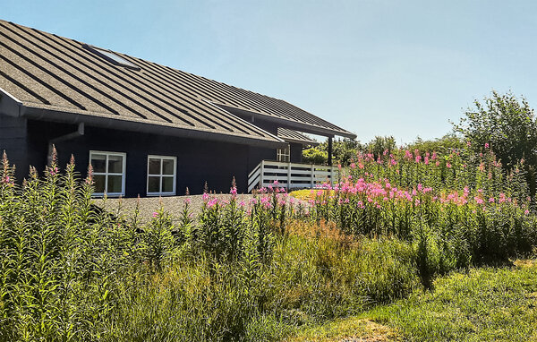 Feriehuse - Rørbæk Sø , Danmark - D82066 108