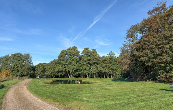 Feriehuse - Rørbæk Sø , Danmark - D82074 905