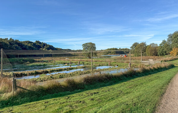 Feriehuse - Rørbæk Sø , Danmark - D82074 906