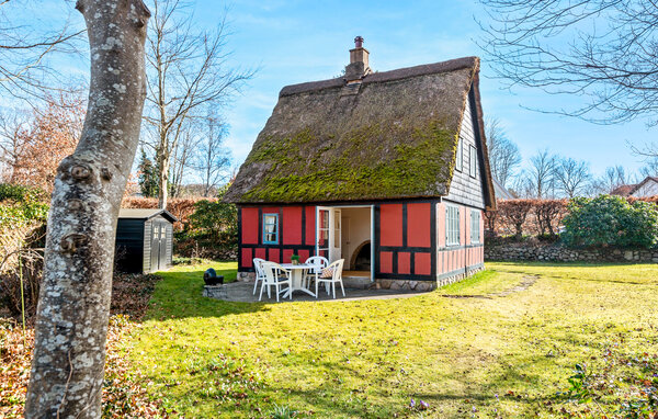 Feriehus - Ry , Danmark - D82092 81