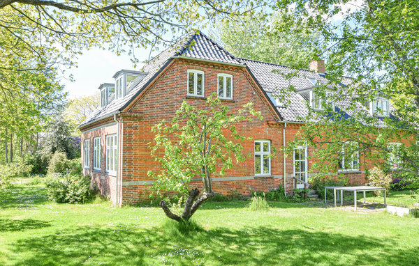 Ferienwohnung - Skanderborg , Dänemark - D82151 1