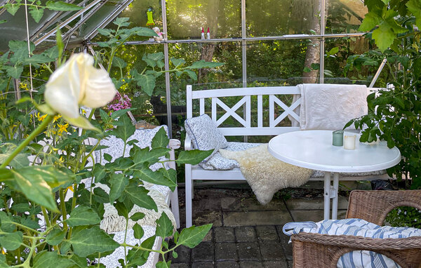 Ferienhaus - Bryrup , Dänemark - D82168 8