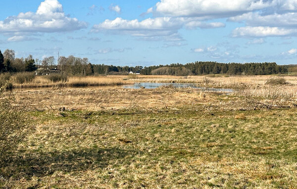 Casa vacanze - Svostrup , Danimarca - D82227 901