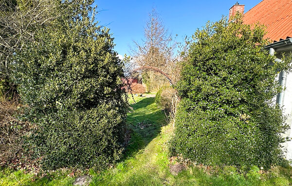 Casa vacanze - Svostrup , Danimarca - D82227 7