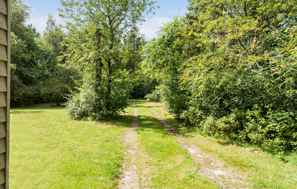 Feriehuse - Guldforhoved , Danmark - D82346 103