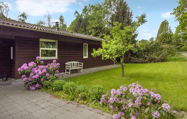 Domy wakacyjne - Silkeborg , Dania - D82400 101