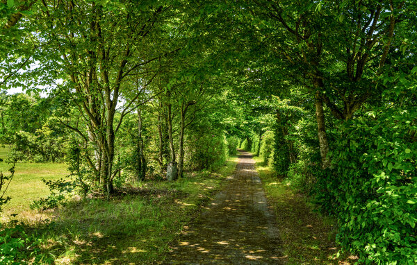 Feriehus - Hampen , Danmark - D82475 105