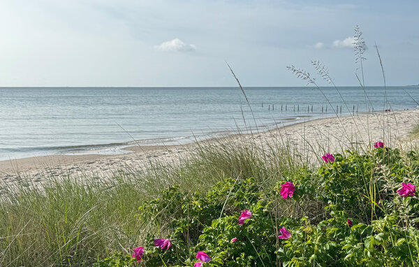 Casa vacanze - Rude Strand , Danimarca - D84054 901