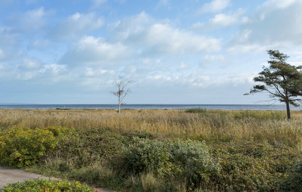 Location de vacances - Ajstrup Strand , Danemark - D84142 201