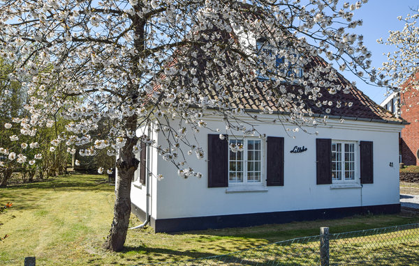 Feriehus - Juelsminde , Danmark - D87151 2