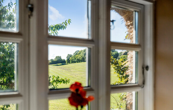 Ferienhaus - As Vig , Dänemark - D88086 203