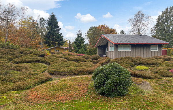 Feriehus - Hvidbjerg , Danmark - D88171 83