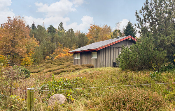 Feriehus - Hvidbjerg , Danmark - D88171 84