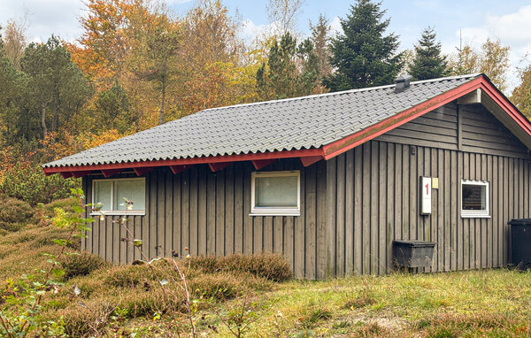 Feriehus - Hvidbjerg , Danmark - D88171 85