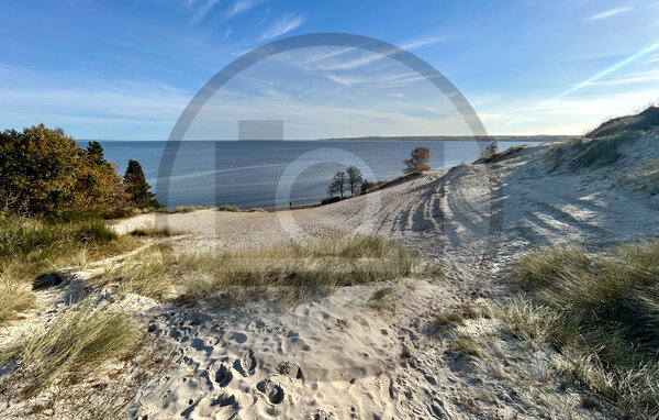 Domy wakacyjne - Hvidbjerg , Dania - D89132 901